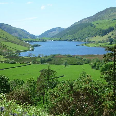 Hotel Dolffanog Fawr Tal-y-llyn Exterior foto