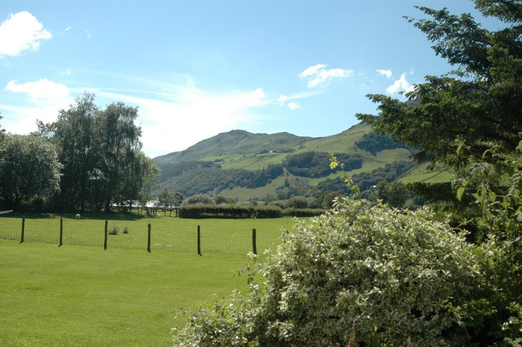 Hotel Dolffanog Fawr Tal-y-llyn Exterior foto