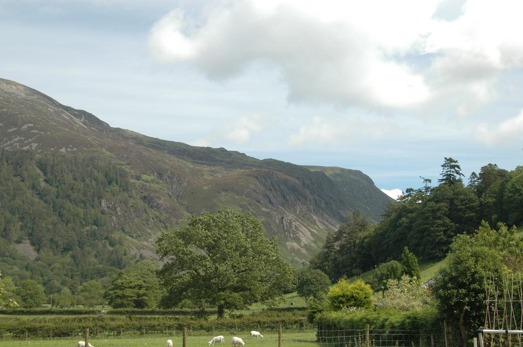 Hotel Dolffanog Fawr Tal-y-llyn Exterior foto