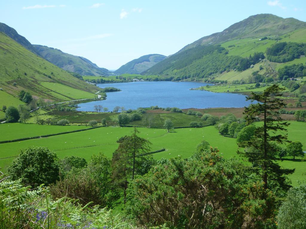 Hotel Dolffanog Fawr Tal-y-llyn Exterior foto