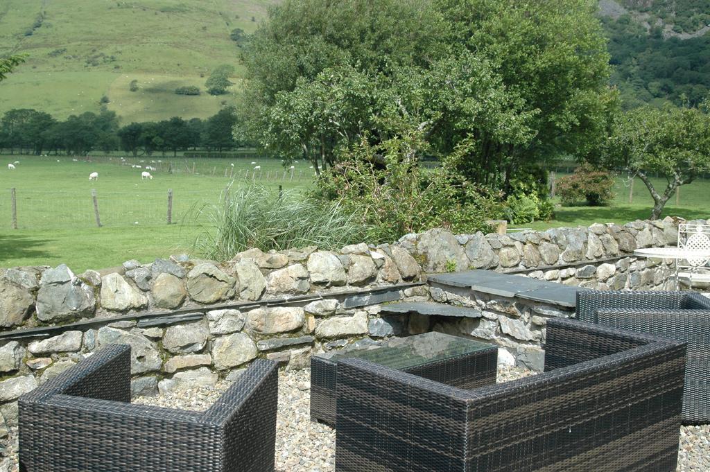 Hotel Dolffanog Fawr Tal-y-llyn Exterior foto